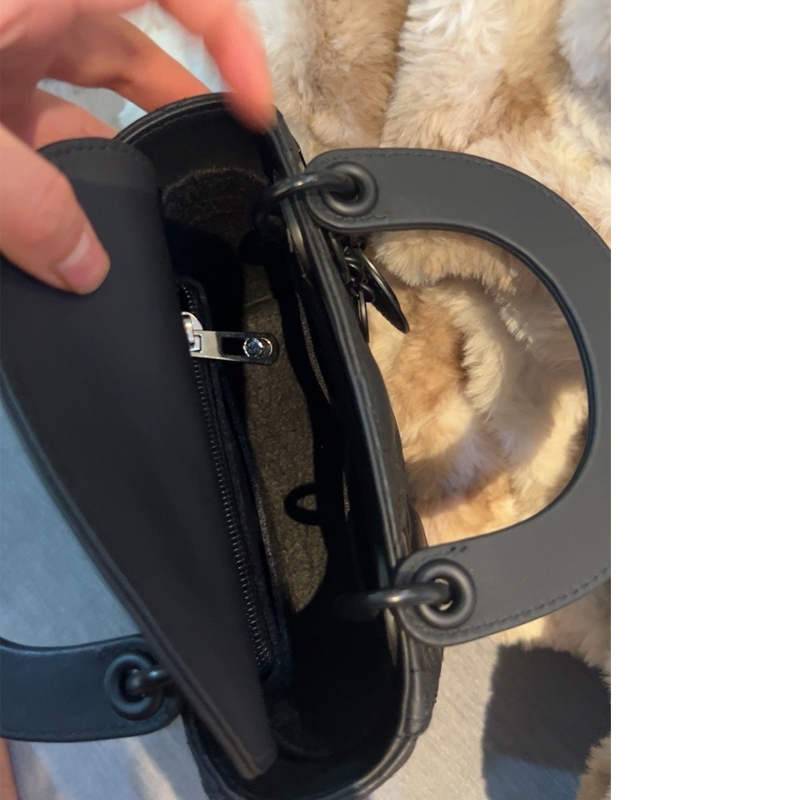 여성용 소형 중형 대형 내부 라이너 셰이퍼, Dio R - Luxury Bags Dior 리뷰 및 가격